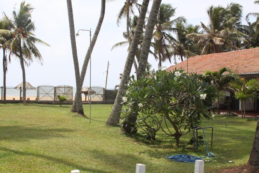 Ceylonica Beach Hotel 尼甘布 外观 照片