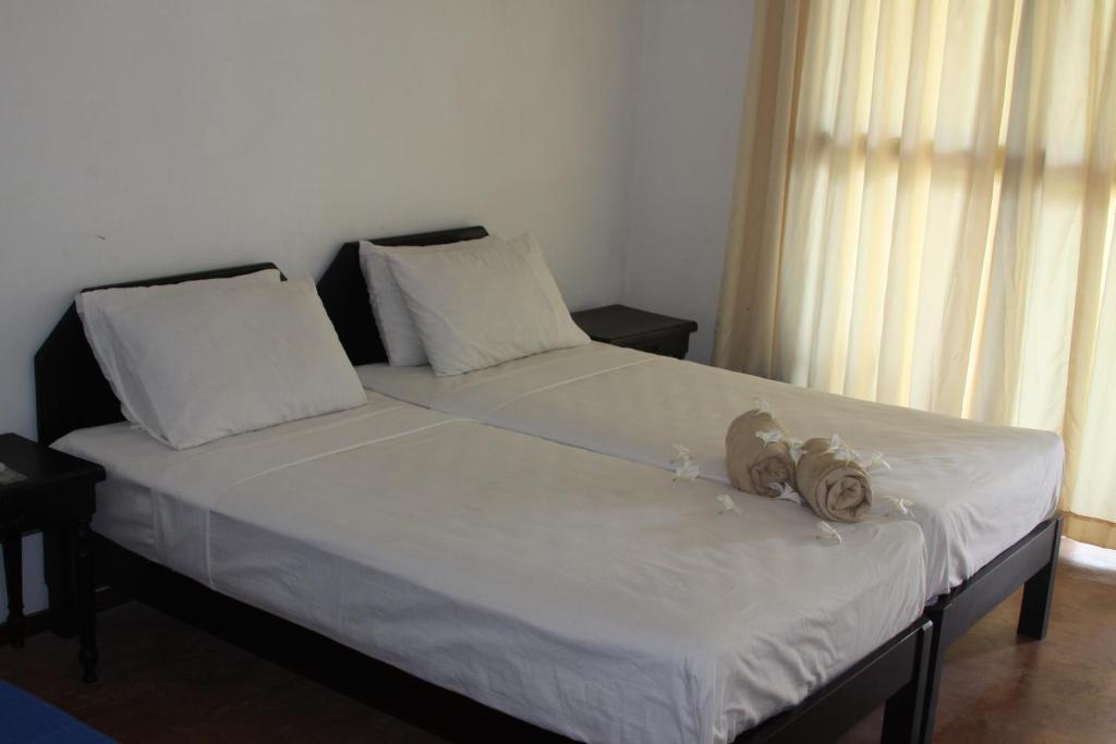Ceylonica Beach Hotel 尼甘布 外观 照片