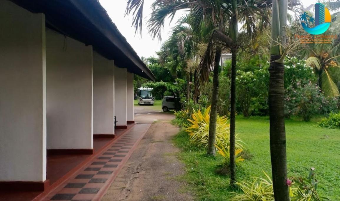 Ceylonica Beach Hotel 尼甘布 外观 照片