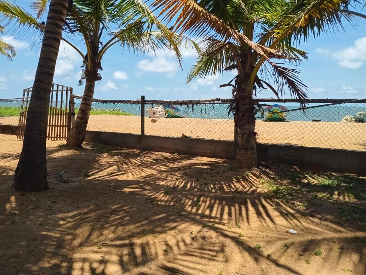 Ceylonica Beach Hotel 尼甘布 外观 照片