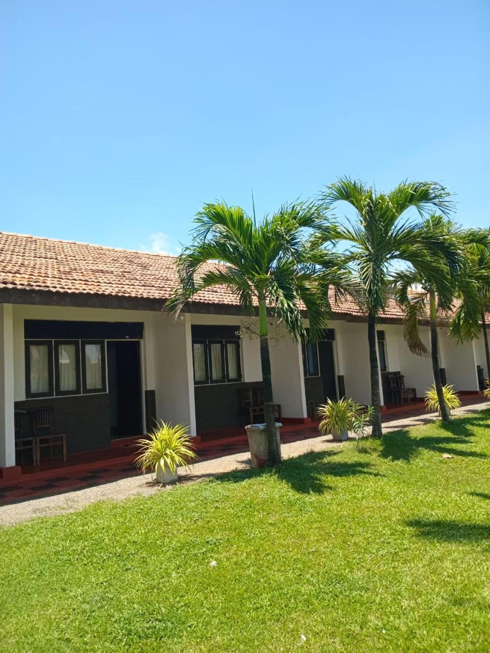 Ceylonica Beach Hotel 尼甘布 外观 照片