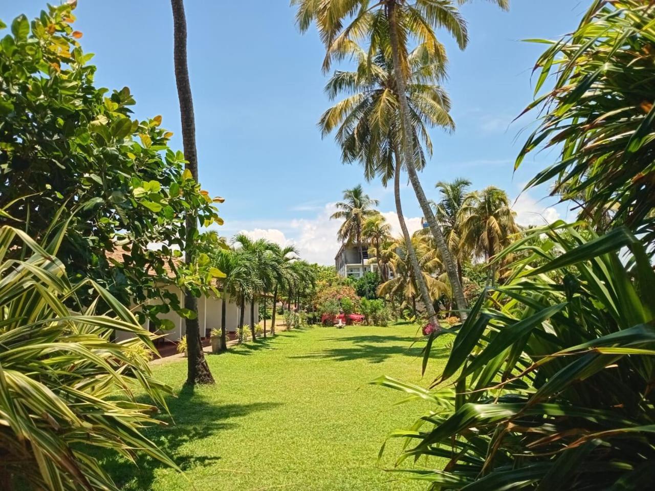 Ceylonica Beach Hotel 尼甘布 外观 照片