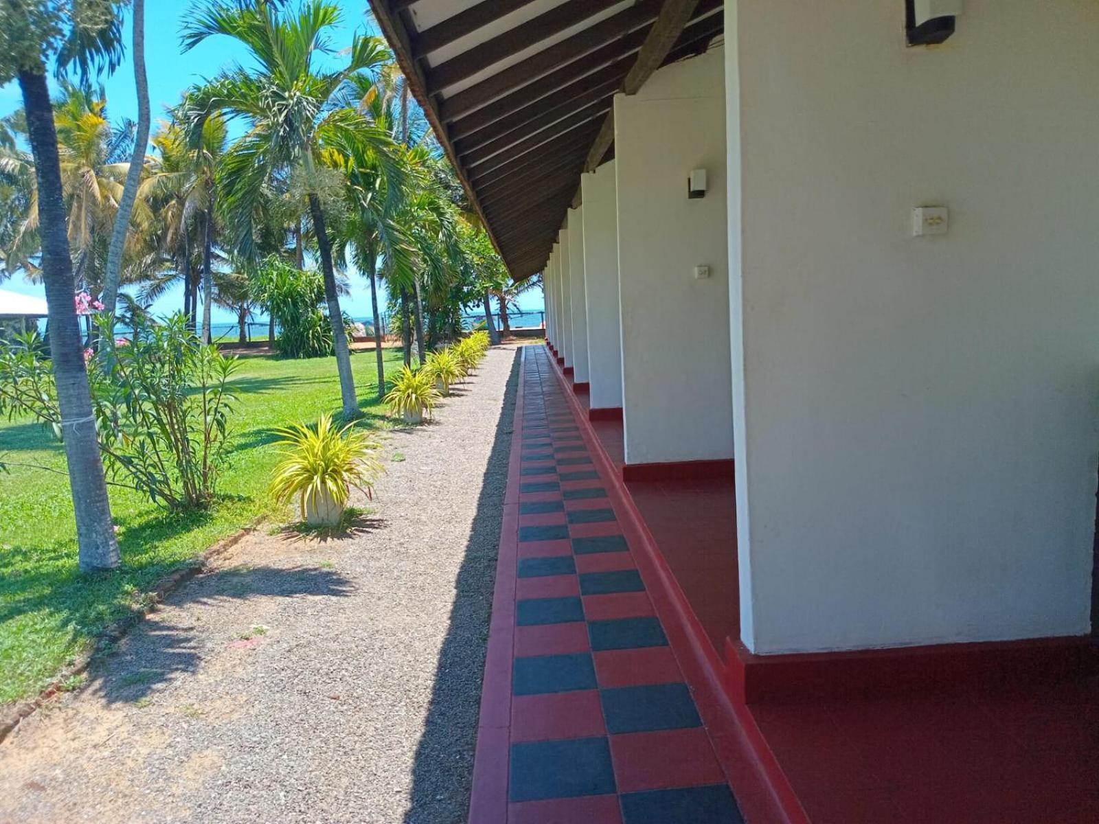 Ceylonica Beach Hotel 尼甘布 外观 照片