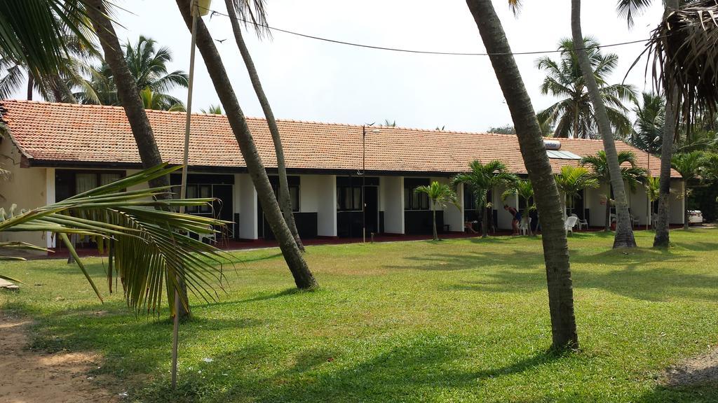 Ceylonica Beach Hotel 尼甘布 外观 照片
