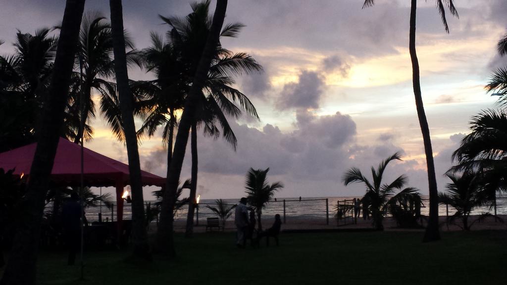 Ceylonica Beach Hotel 尼甘布 外观 照片